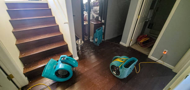 Water damage restoration experts in Mexia, TX