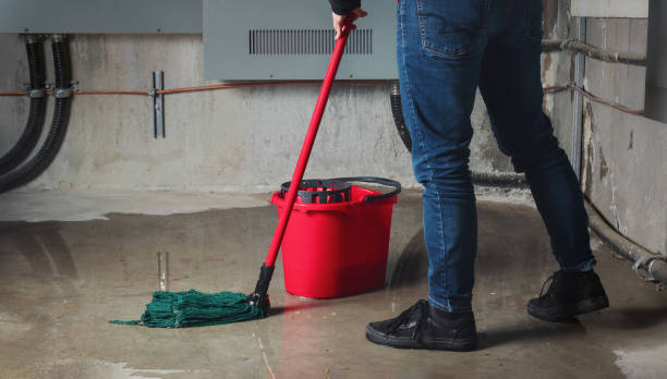Best Residential water damage restoration  in Mexia, TX