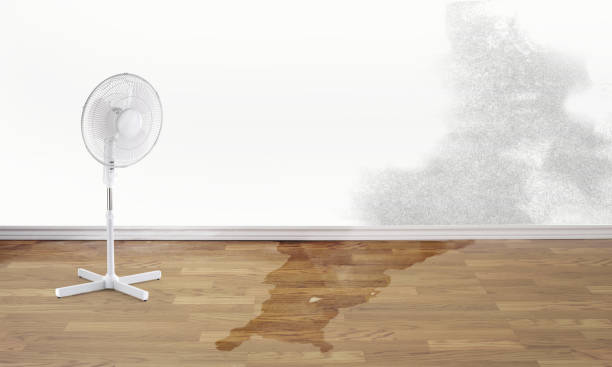 Carpet water damage restoration in Mexia, TX
