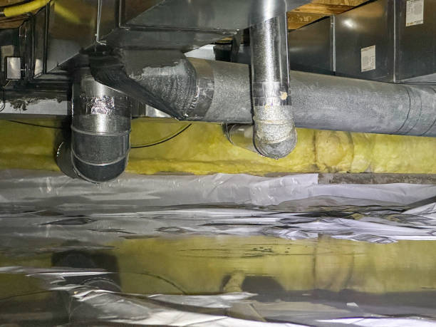 Best Flood restoration services  in Mexia, TX
