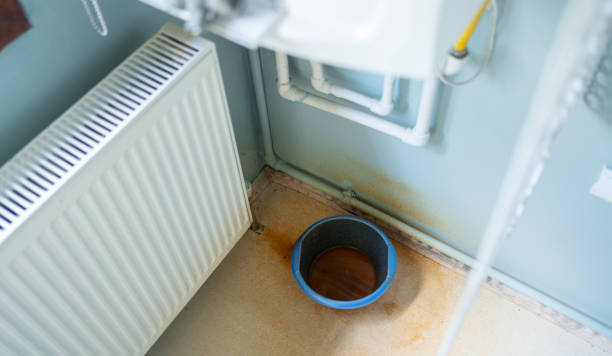 Best Water damage contractors near me  in Mexia, TX