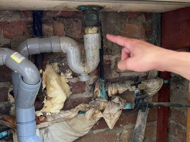 Best Fire Damage Restoration  in Mexia, TX