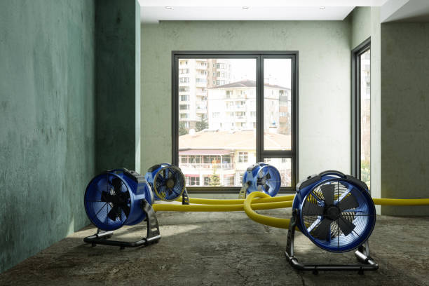 Best Carpet water damage restoration  in Mexia, TX