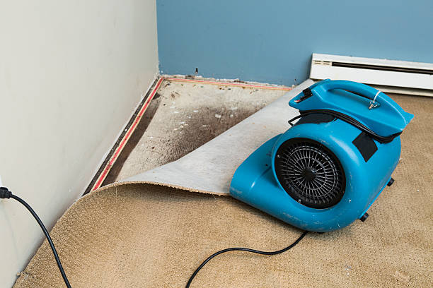 Best 24/7 water damage repair  in Mexia, TX